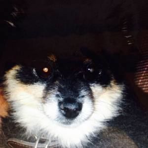 Meet your Posher, Alan